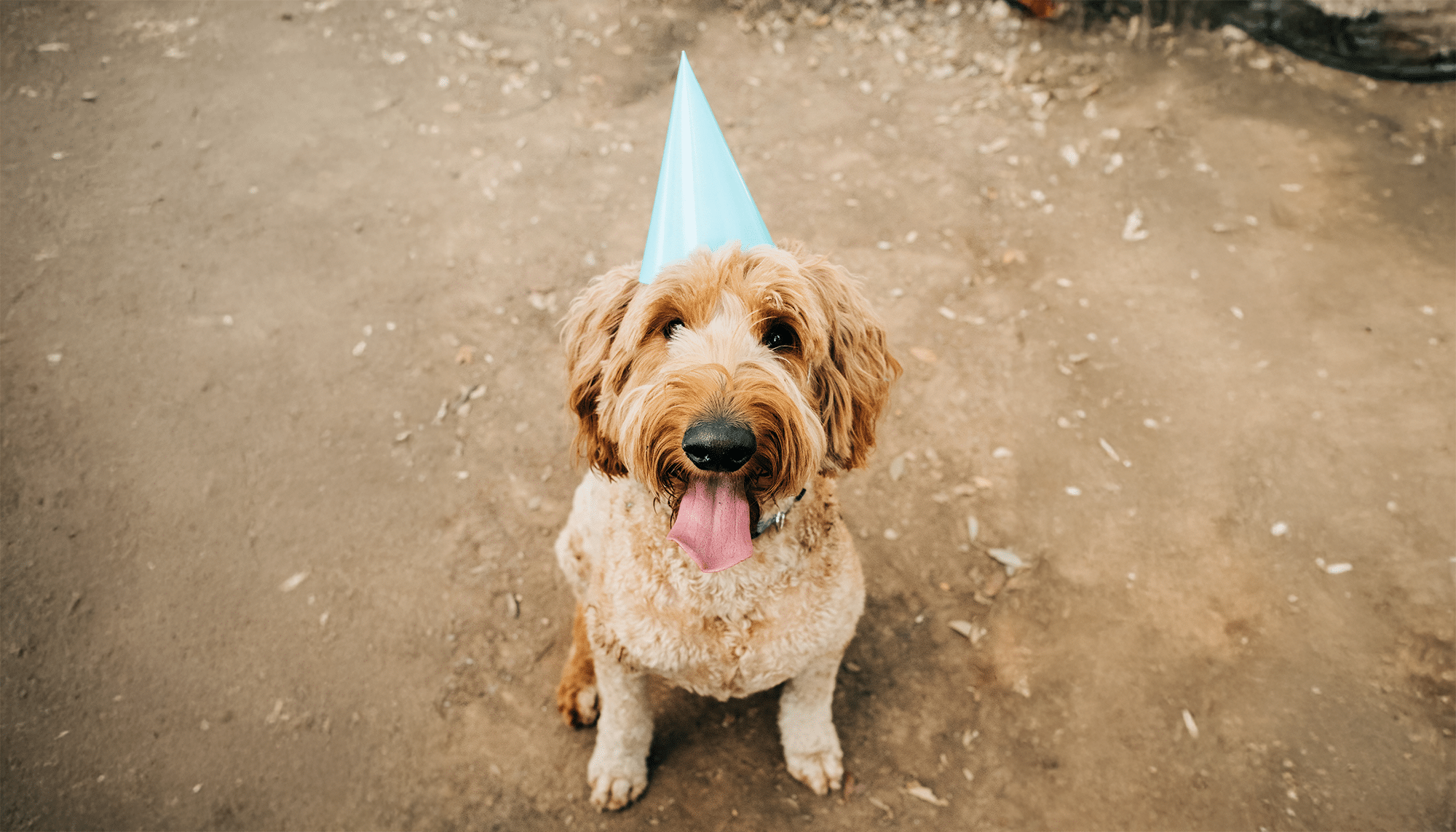 Photo by Chris Maldonado on Unsplash